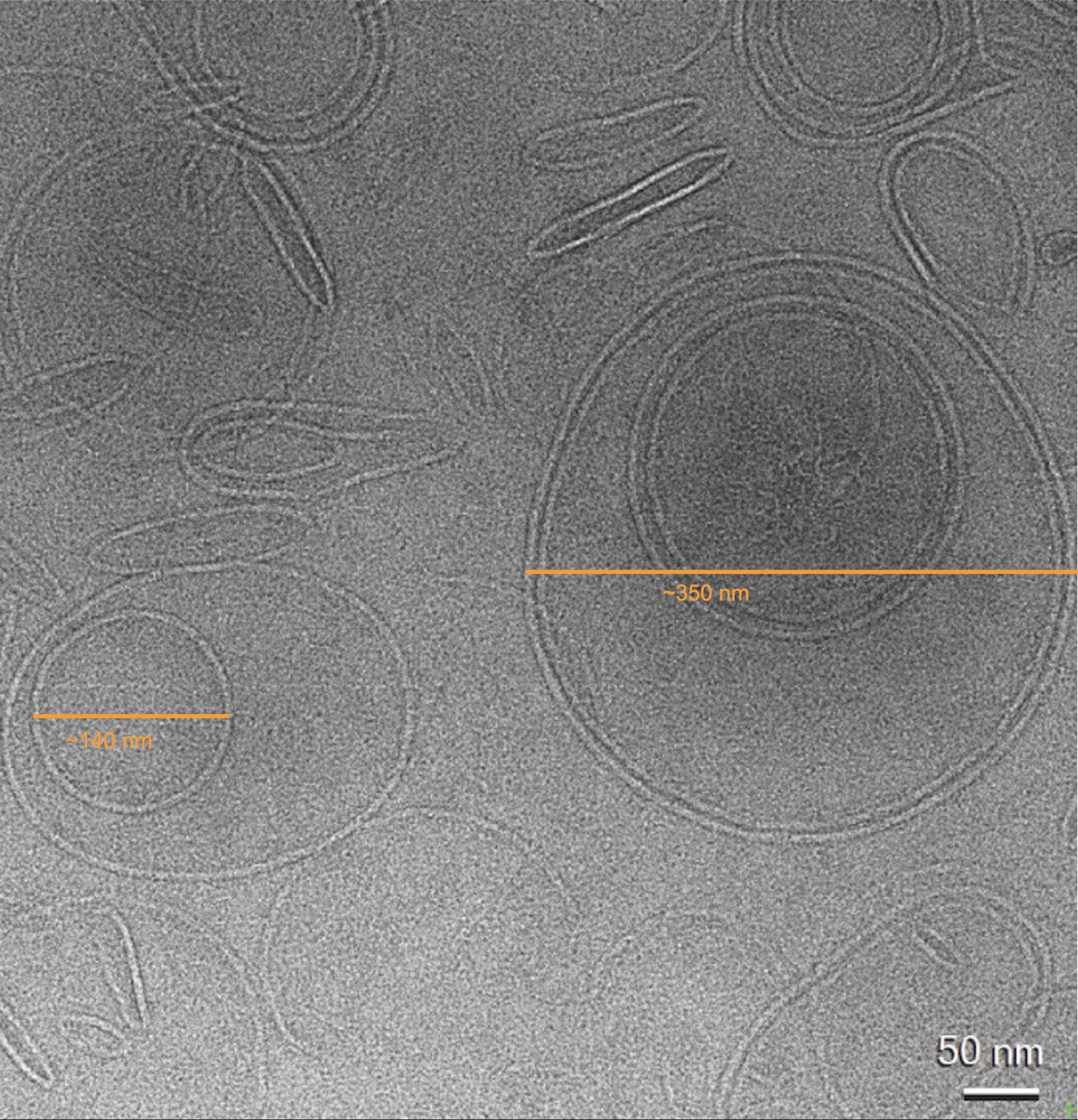 electron microscope structures 1